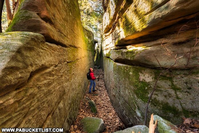 The author in one of the canyons formed by massive rock formations along the Fred Woods Trail.