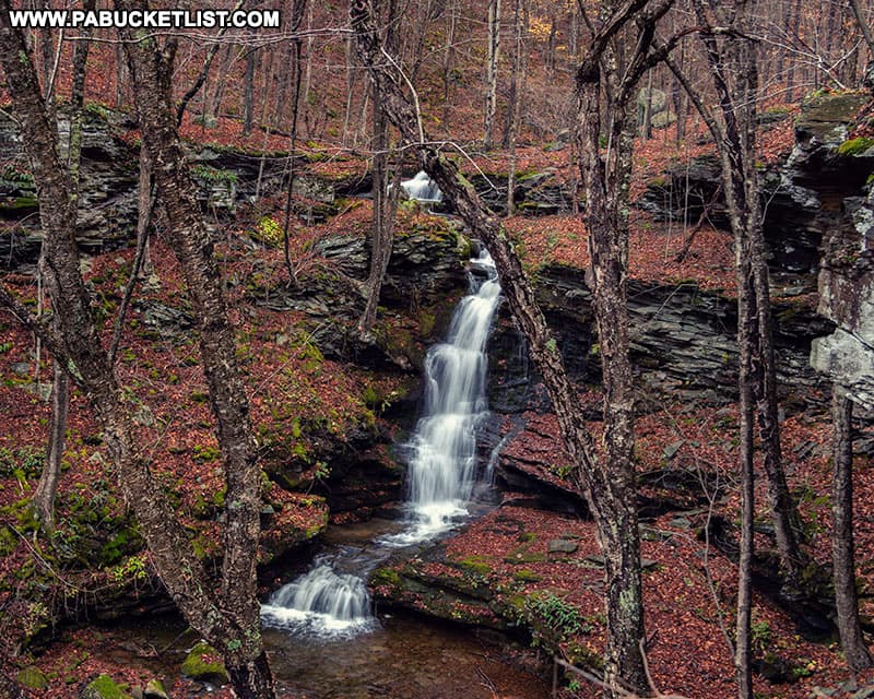 Nickle Run Falls near the Mid State Trail in Tioga County.