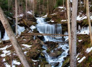 Stone Quarry Run Falls along the Pine Creek Rail Trail in Tioga County Pennsylvania.