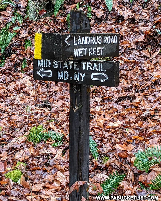 The Wet Feet Trail connecting Landrus Road to the MId State Trail in Tioga County PA