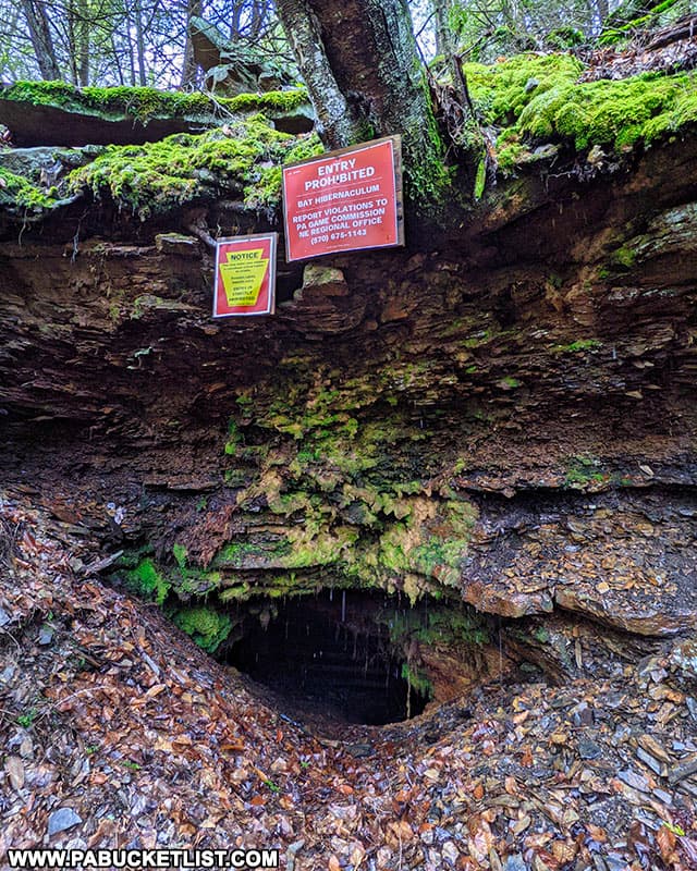 The bat cave along the Bradford Falls Trail near the northern end of the trail.