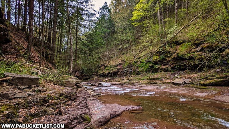 Mill Creek in the Loyalsock State Forest near Hillsgrove Pennsylvania.