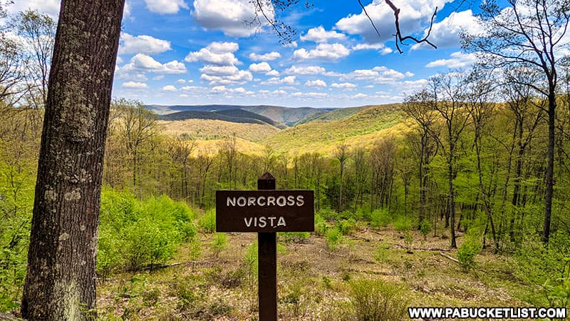 Norcross Vista along Ridge Road in Cameron County, Pennsylvania