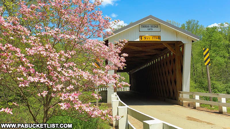 Thomas Covered Bridge was built by Amos Thomas and is the longest covered bridge in Indiana County PA.