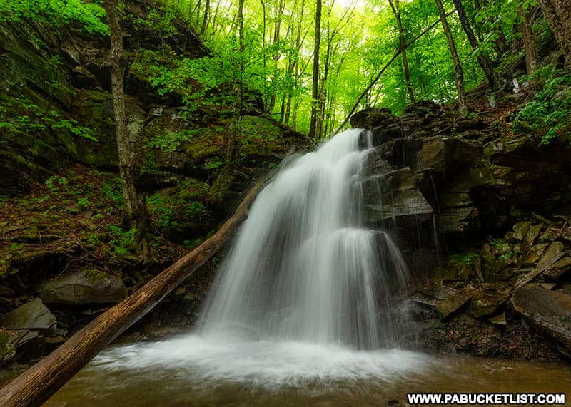 Thomas Run Falls on a spring morning in Bradford County Pennsylvania.