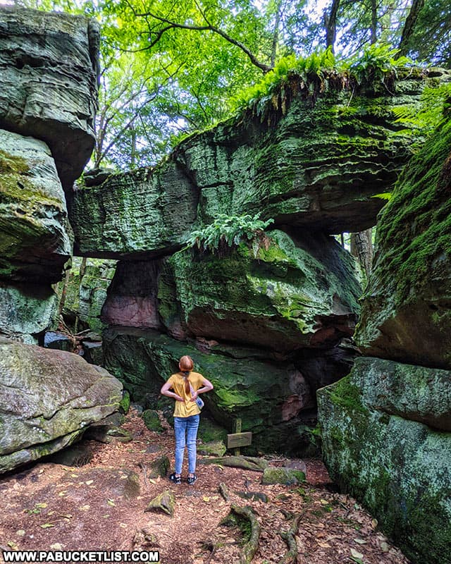 Taking in the scene at Bilger's Rocks in Clearfield County, Pennsylvania.