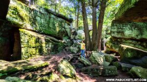 Bilger's Rocks is a 300 million year old rock outcropping in Clearfield County Pennsylvania.
