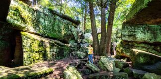 Bilger's Rocks is a 300 million year old rock outcropping in Clearfield County Pennsylvania.