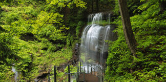 Buttermilk Falls on a summer morning in Indiana County Pennsylvania.