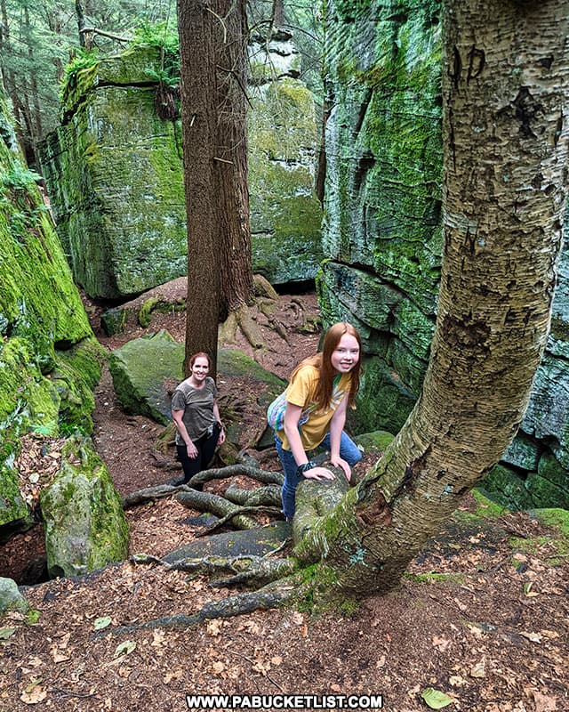 Climbing through a rocky jungle at Bilger's Rocks in Clearfield County.