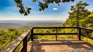 How to find County Line Vista in the Gallitzin State Forest.