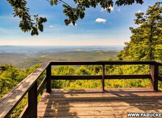 How to find County Line Vista in the Gallitzin State Forest.