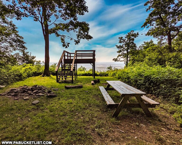 Exploring County Line Vista in the Gallitzin State Forest