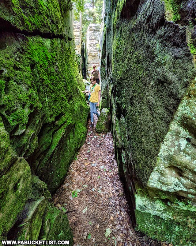 A crevice barely wide enough to walk through at Bilger's Rocks in Clearfield County.