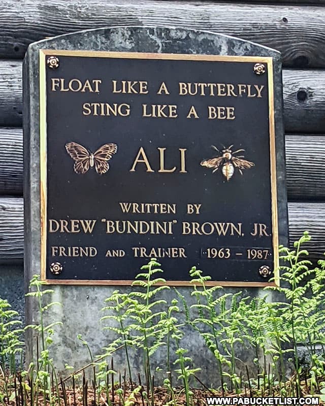 Float Like a Butterfly Sting Like Bee quote written for Muhammad Ali.