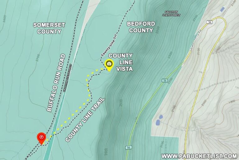 Exploring County Line Vista in the Gallitzin State Forest