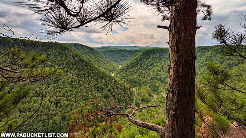 The Pine Creek Gorge as viewed from Barbour Rock Overlook in Tioga County PA