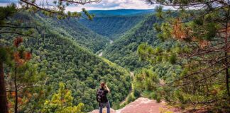 Hiking to Barbour Rock Overlook in the PA Grand Canyon.