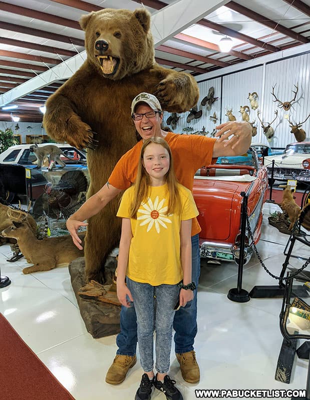 A grizzly bear photo-op at the Grice Museum in Clearfield.