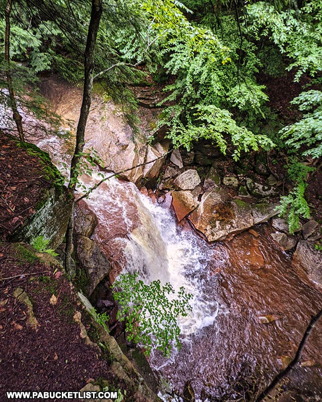 View of Lower Fall Brook Falls from the trail immediately above it.