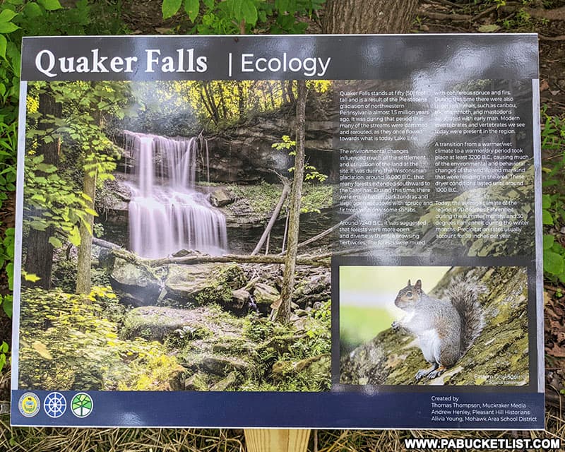 Ecology of the area surrounding Quaker Falls in Lawrence County Pennsylvania.