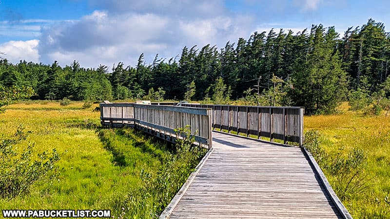 How to find Spruce Flats Bog in the Laurel Highlands region of Pennsylvania.