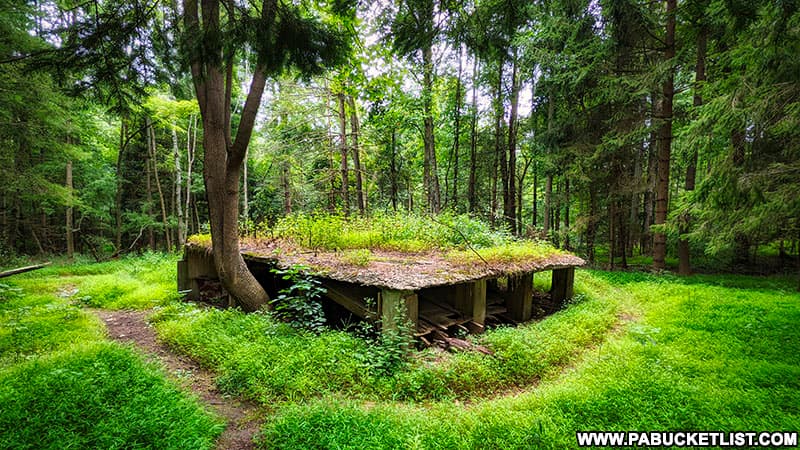 Ruins of the secret POW interrogation camp in the MIchaux State Forest.