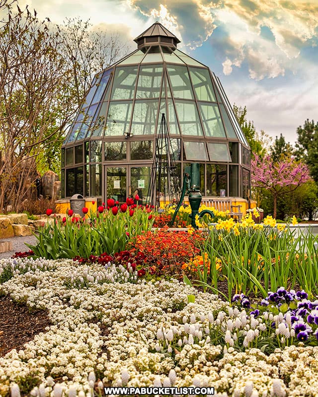 Springtime blooms near the Greenhouse at the Penn State Arboretum.