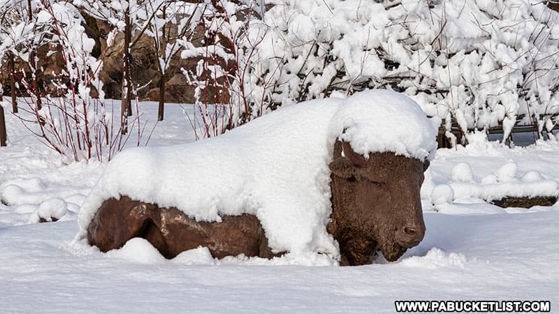 A snow-covered buffalo statue at the Penn State Arboretums' Children's Garden.