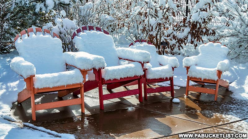 Snow-covered Adirondack chairs at the Penn State Arboretum.