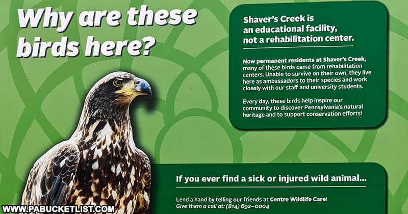 Explanation of why birds are at the Shaver's Creek Aviary in Huntingdon County, PA.