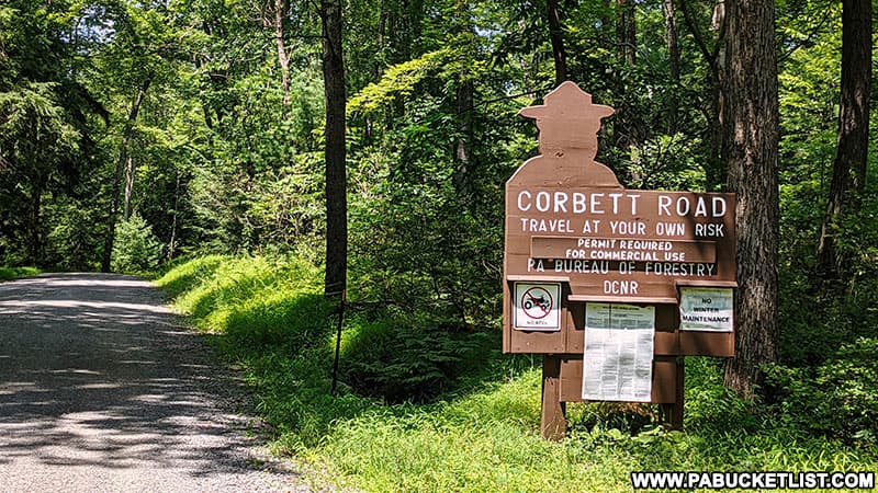 Corbett Road in the Clear Creek State Forest, near the turn-off for Beartown Rocks.