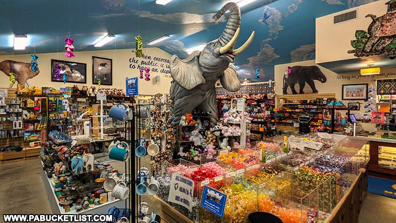 Elephants and candy everywhere you look at MIster Ed's Elephant Museum and Candy Emporium.