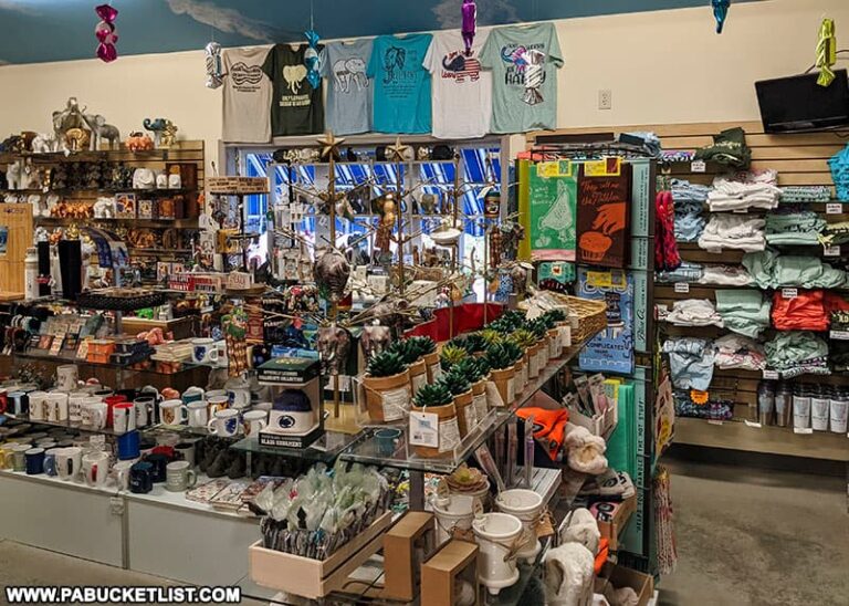 Exploring Mister Ed's Elephant Museum and Candy Emporium