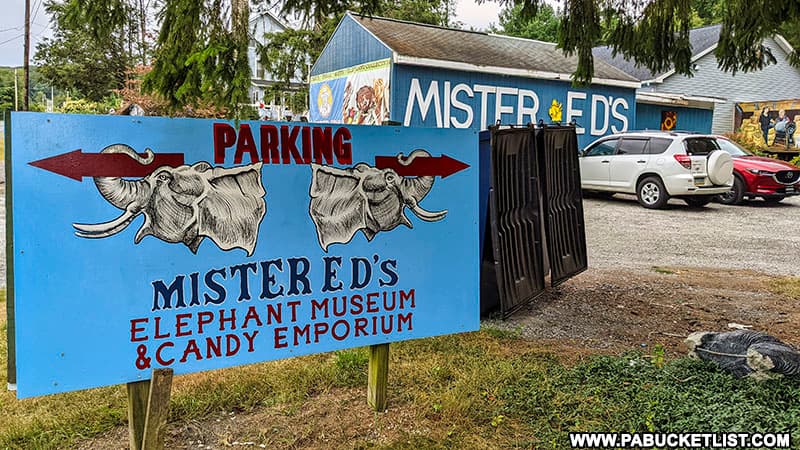 Mister Ed's Elephant Museum parking lot.