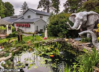 An elephant-themed water garden in front of Mister Ed's Elephant Museum and Candy Emporium.