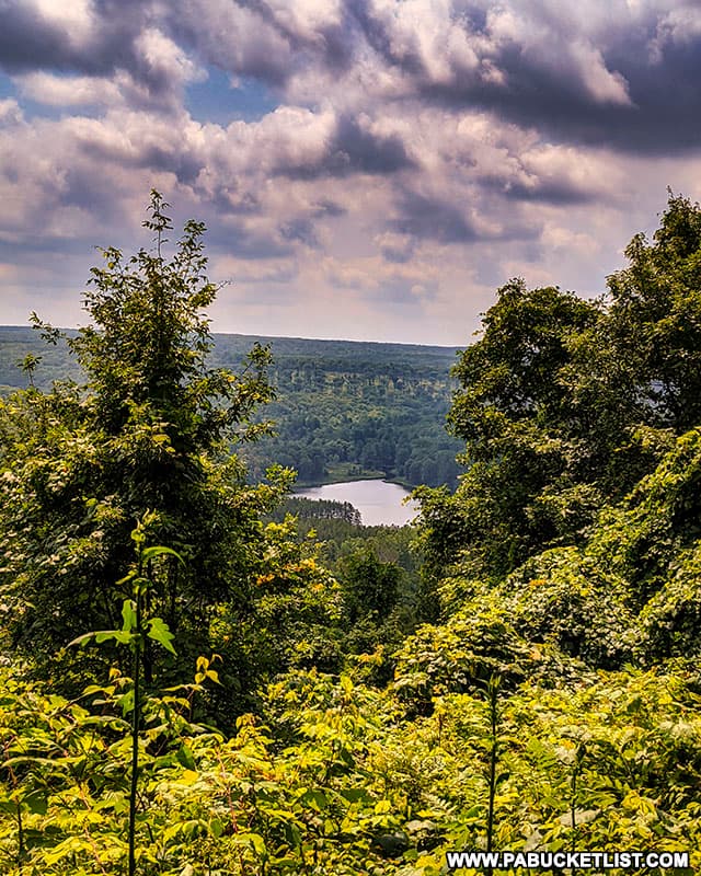 The upper vista along the Trail of New Giants at Parker Dam State Park.