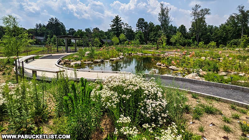 Walking trail through the new Pollinators Garden at the Penn State Arboretum.