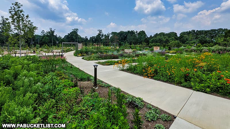 Sidewalk through the Pollinators Garden at the Penn State Arboretum.