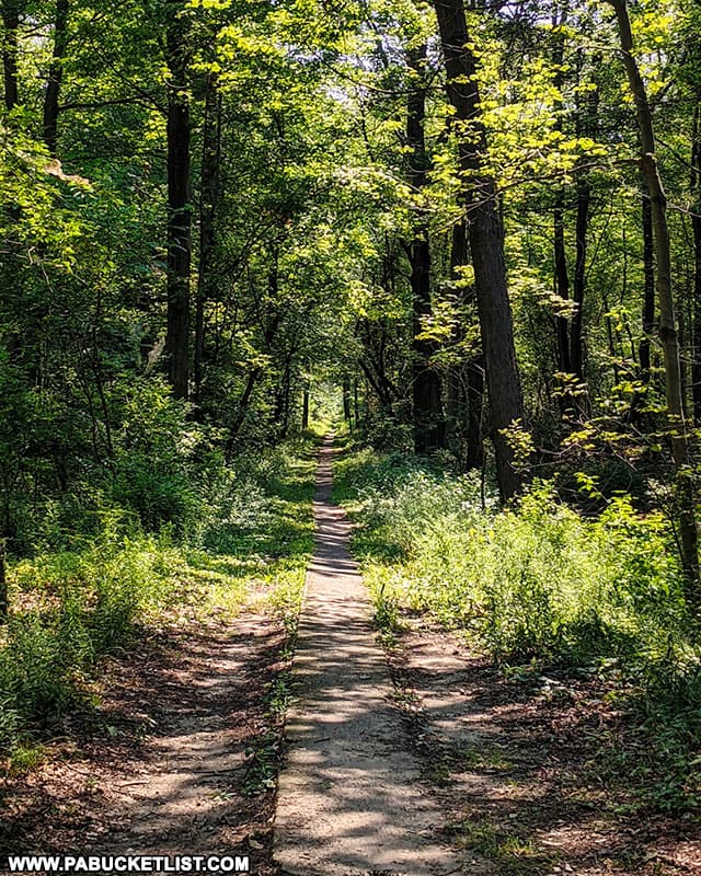 The Sidewalk Trail at Presque Isle State Park in Erie.