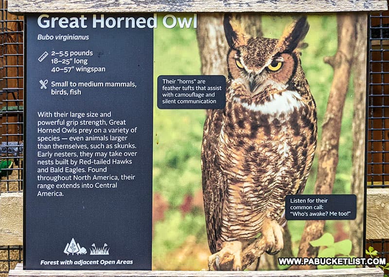 Great Horned Owl enclosure at Shaver's Creek Environmental Center.