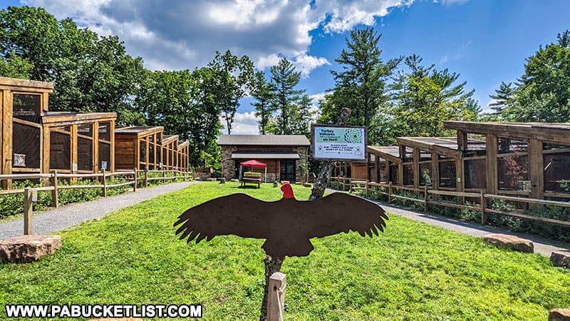 The aviary enclosures at Shaver's Creek Environmental Center.