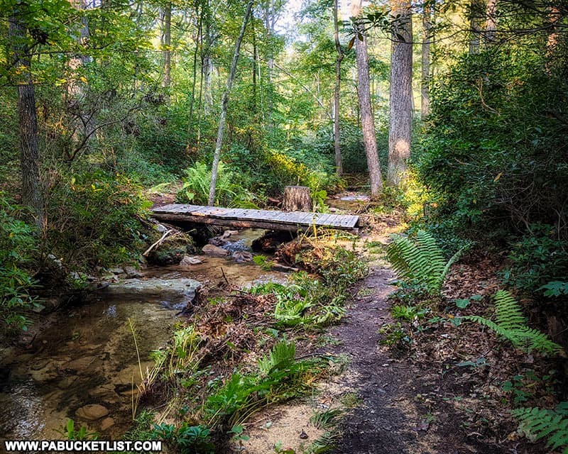 Foot bridge along the Railroad Arch Trail in the Buchanan State Forest.