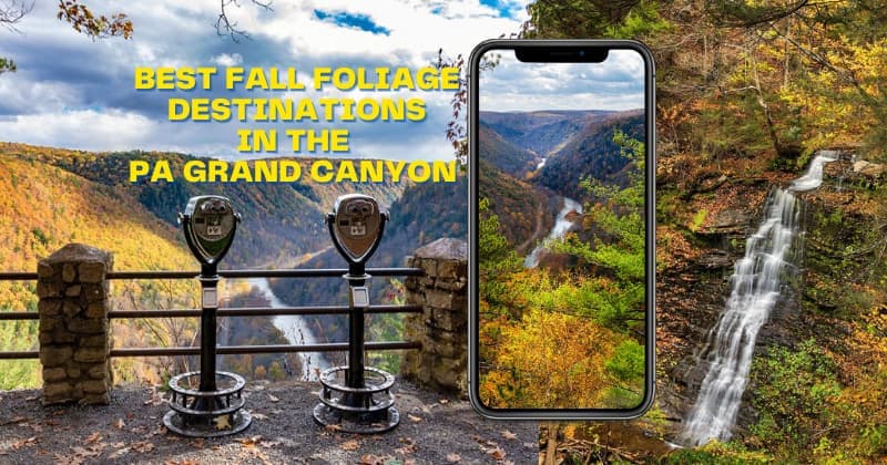 Where to Find Incredible Foliage Views in the PA Grand Canyon