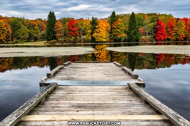 Fall foliage at Cranberry Glade Lake in the PA Laurel Highlands.