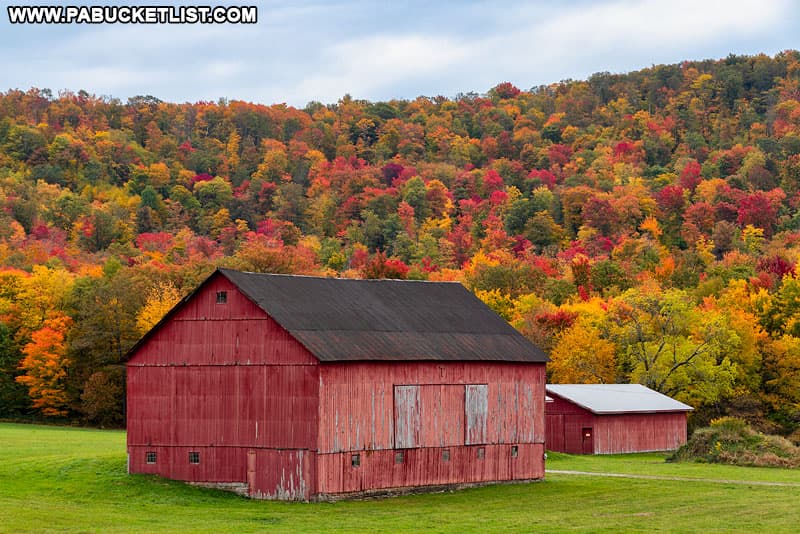 A fall foliage farm scene in Fayette County, PA.