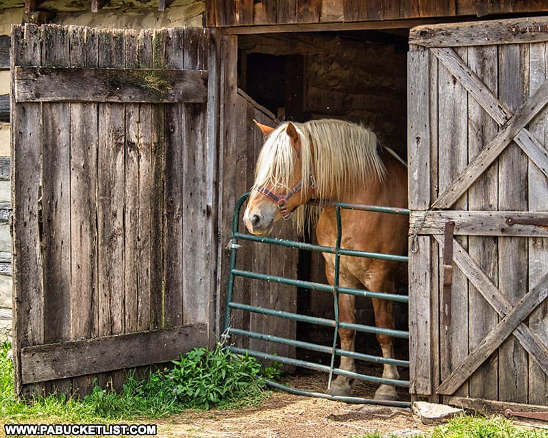 Horse barn at Old Bedford Village.