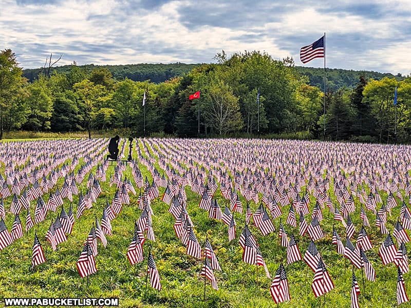 The Field of Heroes contains more than 7.000 flags, each representing a member of the Armed Services who died during the Global War on Terrorism.