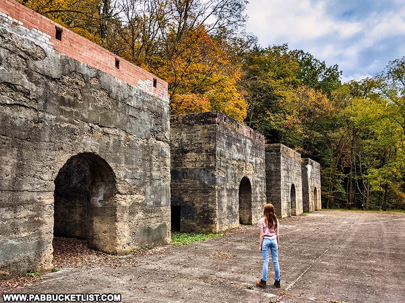 Fall foliage around the lime kilns at Canoe Creek State Park.