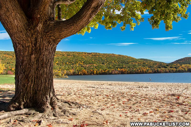 Fall foliage along the beach at Bald Eagle State Park in Centre County, PA.
